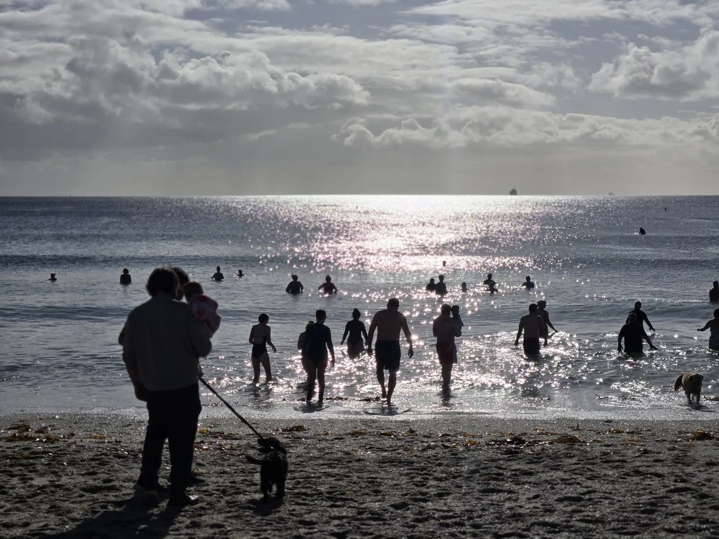 Swimmers wading into a sparkling sea at Gyllyngvase Beach on National Daily Dip 4 Dave Day